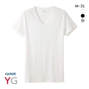 グンゼ GUNZE ワイジー YG コットン100％ Vネック Tシャツ メンズ 定番 ベーシック オールシーズン｜shirohato