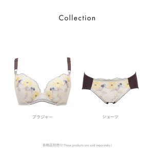 ルシアン 大きめバスト専用 コンパクト設計 ペ...の詳細画像5