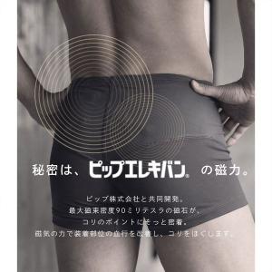 ルシアン ボクサーパンツ LECIEN×ピップ...の詳細画像5