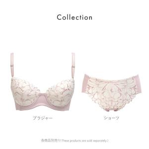 ルシアン ショーツ キレイ魅せ 美背中メイクブ...の詳細画像4
