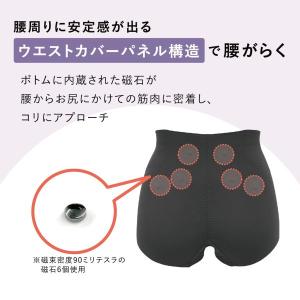 ルシアン LECIEN×ピップエレキバン 腰こ...の詳細画像4