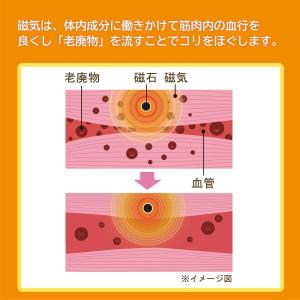 ルシアン LECIEN×ピップエレキバン 腰こ...の詳細画像5
