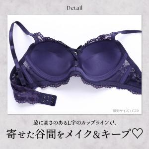 ブラジャー ショーツセット エレガント クロス...の詳細画像4