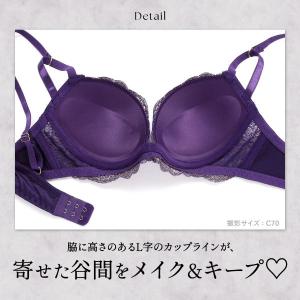 ブラジャー ショーツセット エレガント エキゾ...の詳細画像4