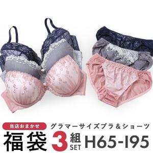 グラマーサイズ お買得 おまかせ ブラ＆ショーツ 3組セット Hカップ [ 大きいサイズ アンダー100まで ]｜SHIROHATO(白鳩)