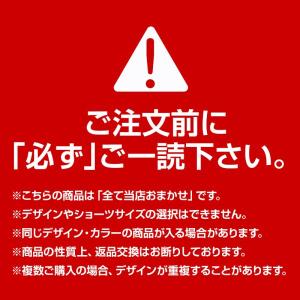 ブラジャー ショーツ 5点セット 福袋 おまか...の詳細画像1