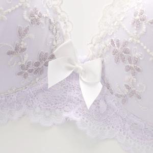 ブラジャー ショーツセット ピュアシェリ ラメ...の詳細画像2
