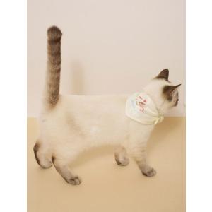 ジェラートピケ CAT&DOG サマー...の詳細画像5