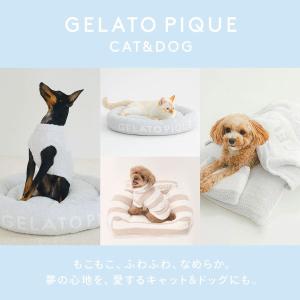 ジェラートピケ CAT&DOG 販路限...の詳細画像1