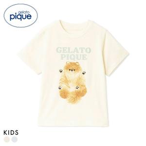 ジェラートピケ キッズアンドベイビー キッズ ドッグワンポイントTシャツ パジャマ ルームウェア gelato pique Kids＆Baby KIDS
