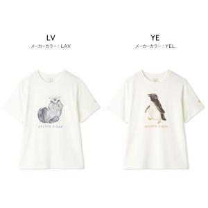 ジェラートピケ Tシャツ ルームウェア レディ...の詳細画像2
