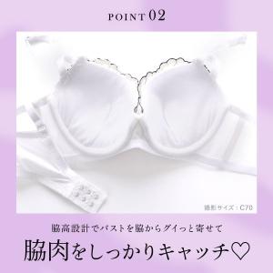 サンエイ 脇高 フルーレットパレス ブラセット...の詳細画像5