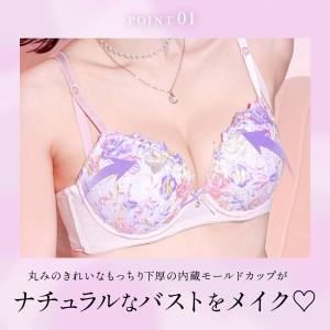 ブラジャー ショーツセット サンエイ 脇高 ハ...の詳細画像1