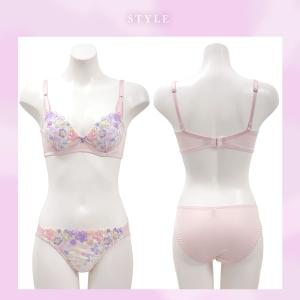 ブラジャー ショーツセット サンエイ 脇高 ハ...の詳細画像4
