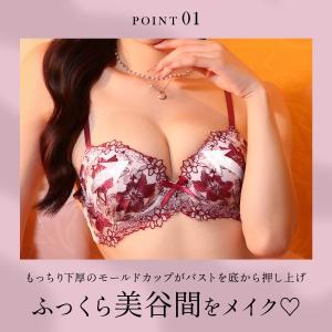 ブラジャー ショーツセット サンエイ 脇高 ビ...の詳細画像2