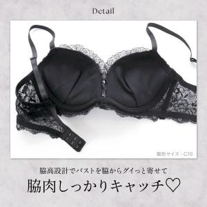 サンエイ 脇高 ブラックレオパード ブラセット...の詳細画像4