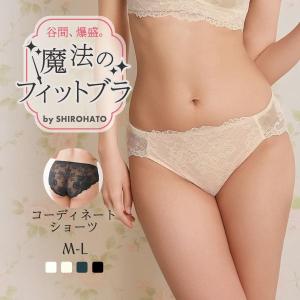 shirohato_c1226sfit301