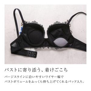 ヒミコ 016シリーズ ブラジャー 大きいサイ...の詳細画像2