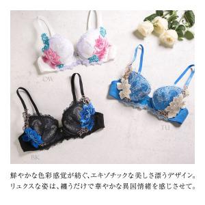 ヒミコ 016シリーズ ブラジャー 大きいサイ...の詳細画像1