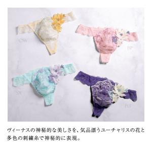 ヒミコ 024シリーズ Tバック パンツ レー...の詳細画像2