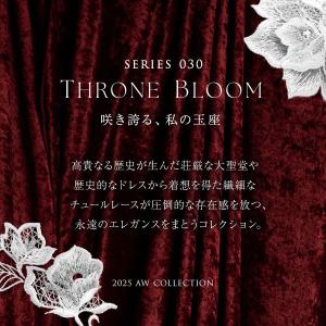 ヒミコ 030シリーズ ショーツ Tバック ソ...の詳細画像2