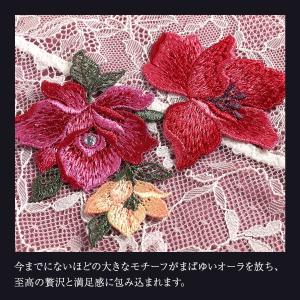 ヒミコ 031シリーズ レースガウン フリーサ...の詳細画像4