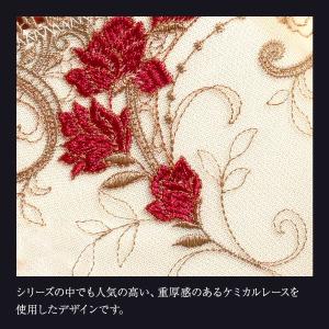 ヒミコ 031シリーズ ショーツ スタンダード...の詳細画像5