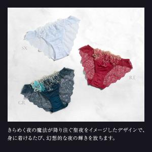 ヒミコ 032シリーズ ショーツ スタンダード...の詳細画像3