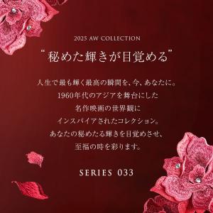 ヒミコ 033シリーズ ショーツ スタンダード...の詳細画像2