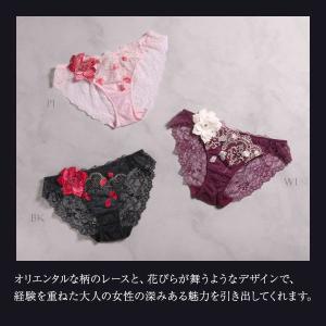 ヒミコ 033シリーズ ショーツ スタンダード...の詳細画像3
