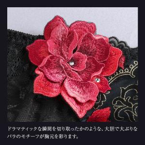 ヒミコ 033シリーズ ショーツ スタンダード...の詳細画像4