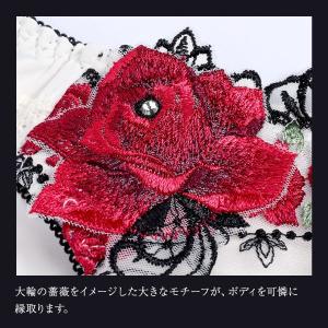 ヒミコ 003シリーズ ノーマルショーツ M ...の詳細画像3