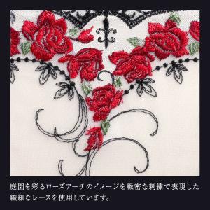 ヒミコ 003シリーズ ノーマルショーツ M ...の詳細画像4