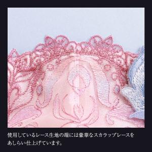 ヒミコ 034シリーズ Tバック パンツ バッ...の詳細画像5
