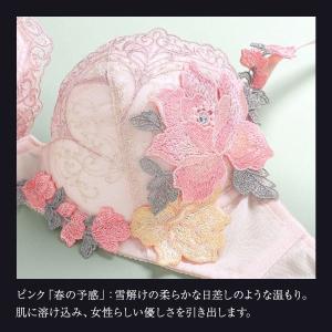 ヒミコ 035シリーズ HIMICOブラジャー...の詳細画像3