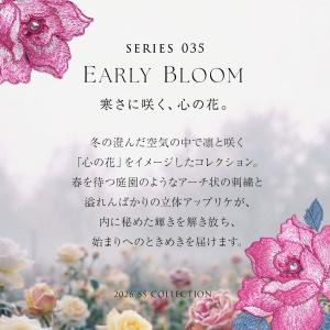 ヒミコ 035シリーズ ショーツ スタンダード...の詳細画像1