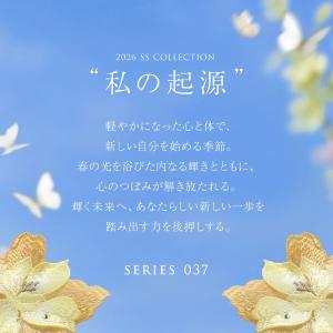 ヒミコ 037シリーズ ノーマルショーツ M ...の詳細画像2