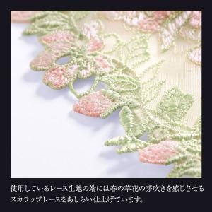 ヒミコ 037シリーズ ノーマルショーツ M ...の詳細画像5