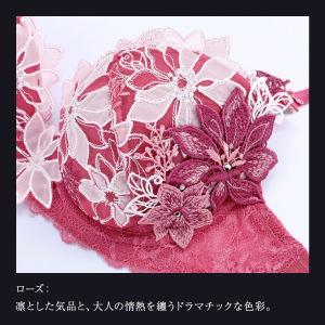 ヒミコ 039シリーズ HIMICOブラジャー...の詳細画像5
