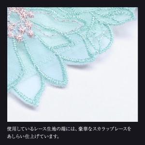 ヒミコ 039シリーズ ショーツ Tバック ソ...の詳細画像5