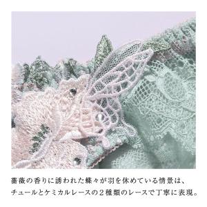 ARTE 003シリーズ ショーツ スタンダー...の詳細画像3