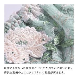 ARTE 003シリーズ ショーツ Tバック ...の詳細画像2