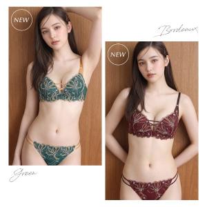 ブラジャー ショーツセット 大きいサイズ ワイ...の詳細画像4