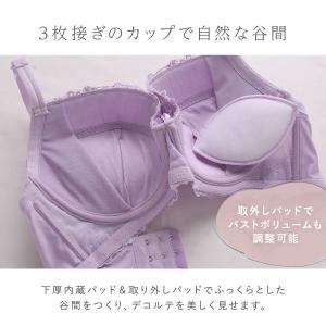 ブラジャー ショーツセット モンシェルピジョン...の詳細画像5