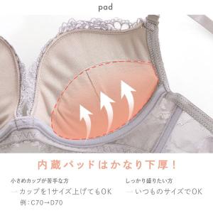 ブラジャー ショーツ セット Tバック 3点 ...の詳細画像2