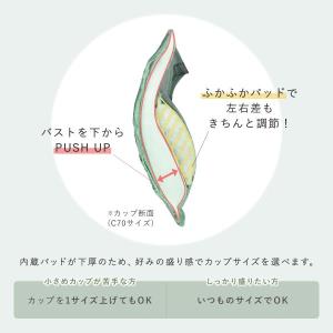ブラジャー ショーツ セット モンシェルピジョ...の詳細画像5