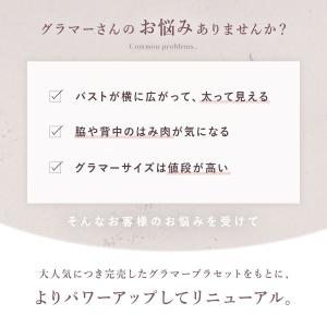 ブラジャー ショーツ セット 大きいサイズ G...の詳細画像2