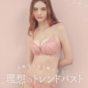 ブラジャー ショーツセット モンシェルピジョン...の詳細画像3