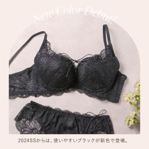 ブラジャー ショーツセット モンシェルピジョン...の詳細画像4