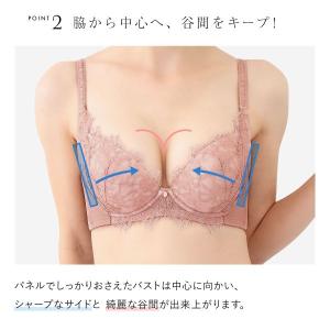 ブラジャー モンシェルピジョン Mon che...の詳細画像4
